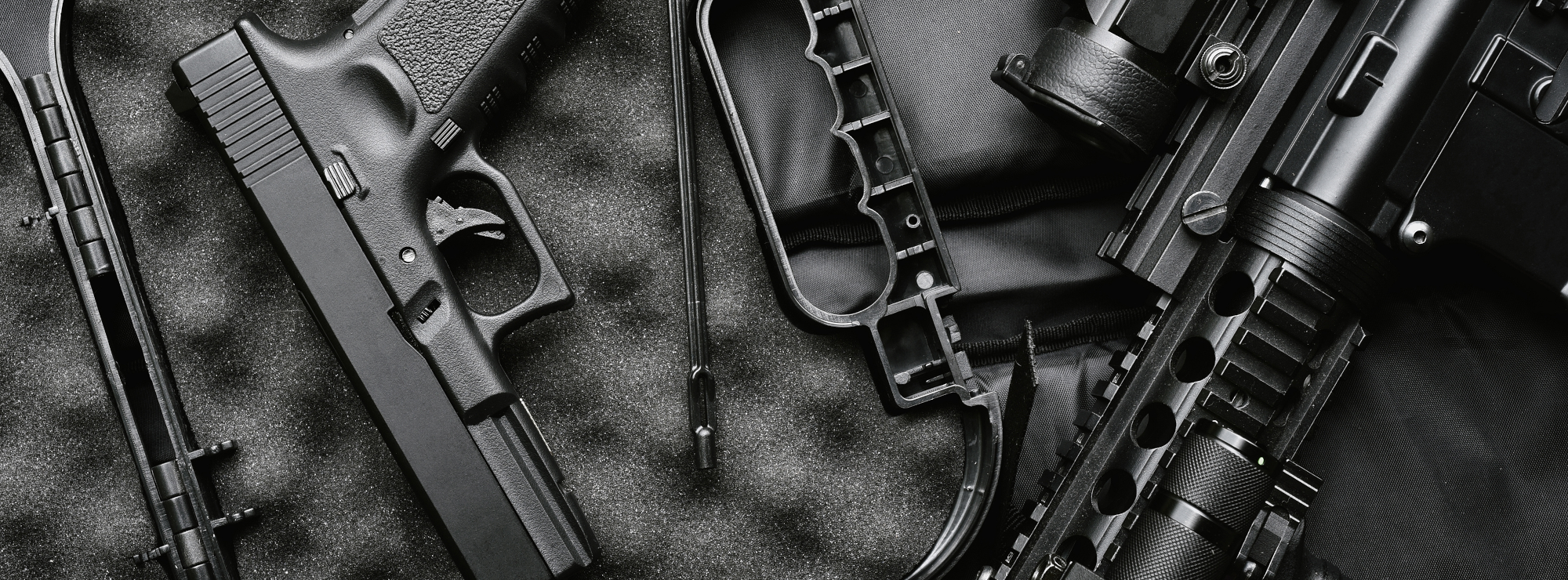 All Firearms