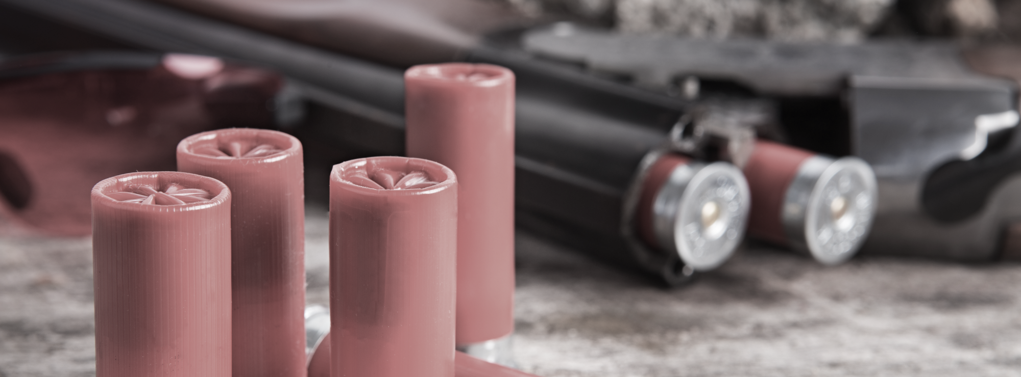 Shotgun Ammunition