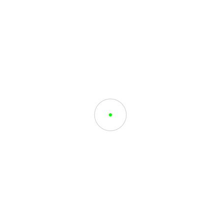 Holosun 407C X2