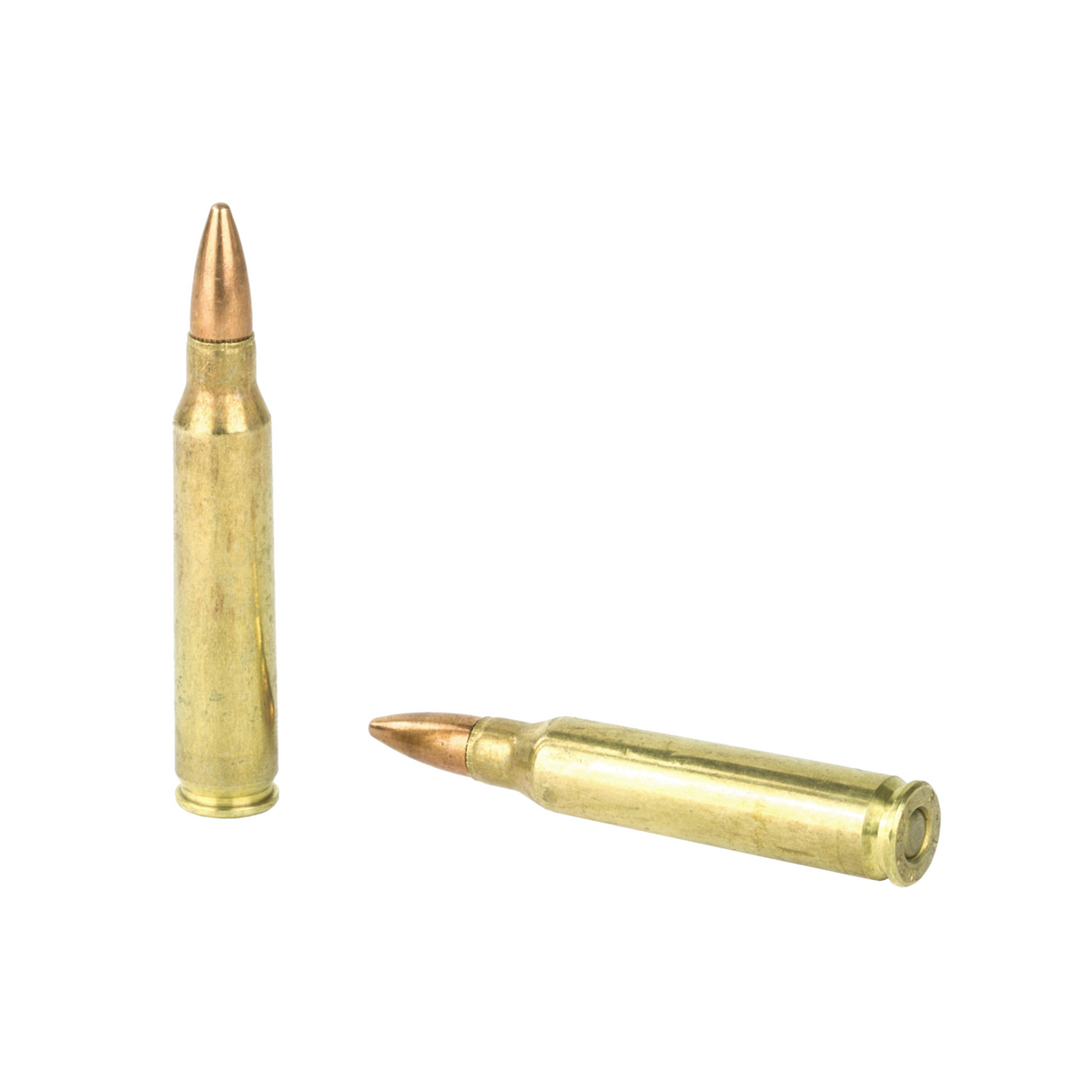 Remington .223 Full Metal Jacket Ammunition