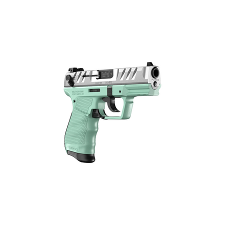 Walther PD380 .380 ACP Pistol